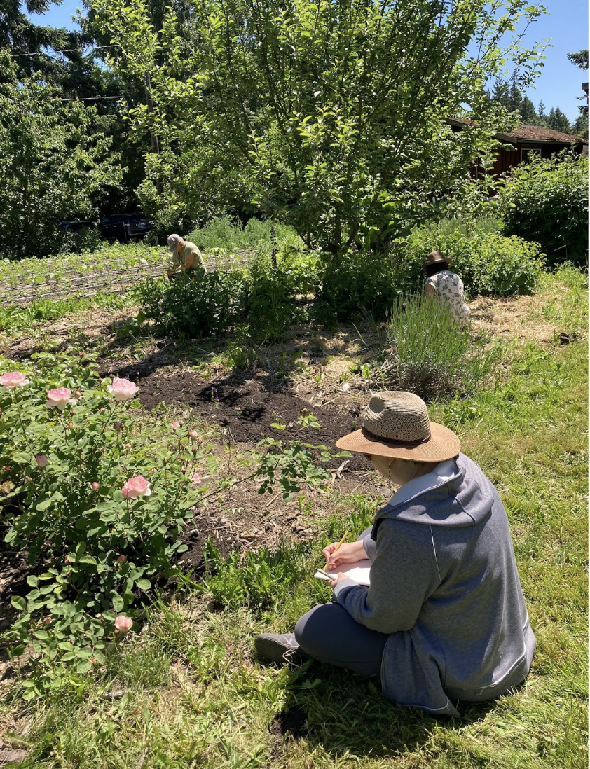 Drawing in the Garden with Annie Brule