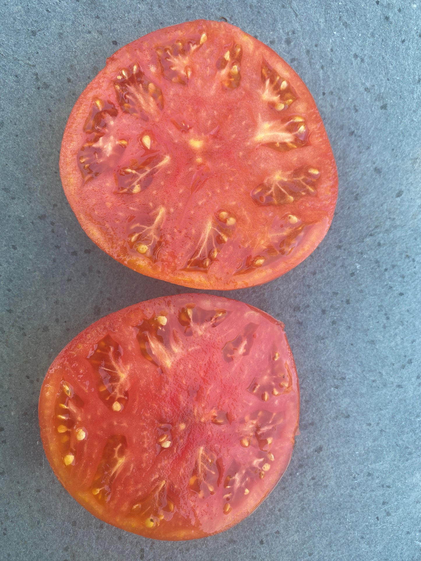 Berner Rose Heirloom Tomato