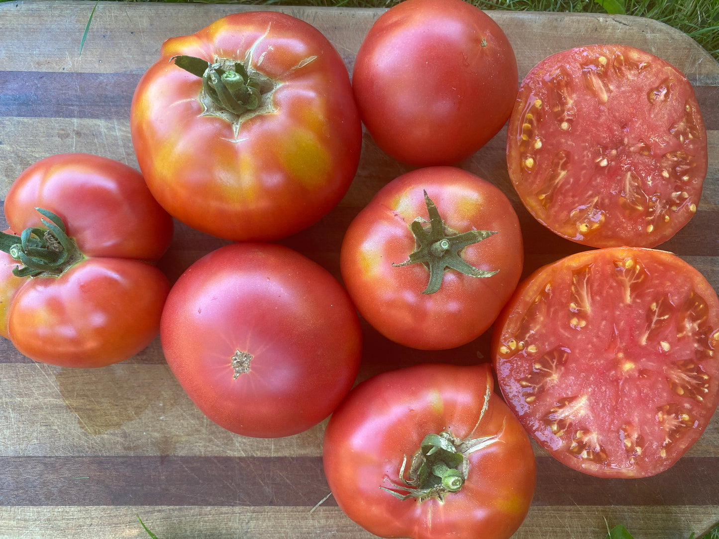 Berner Rose Heirloom Tomato