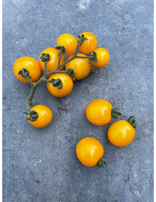 Galina Cherry Tomato