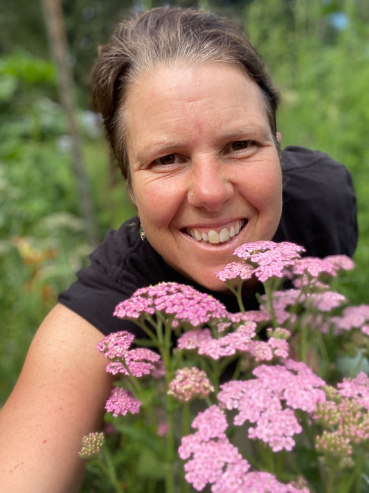 Summer Berries Yarrow