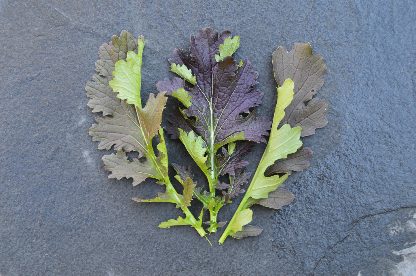 Oak Fire Mustard Greens