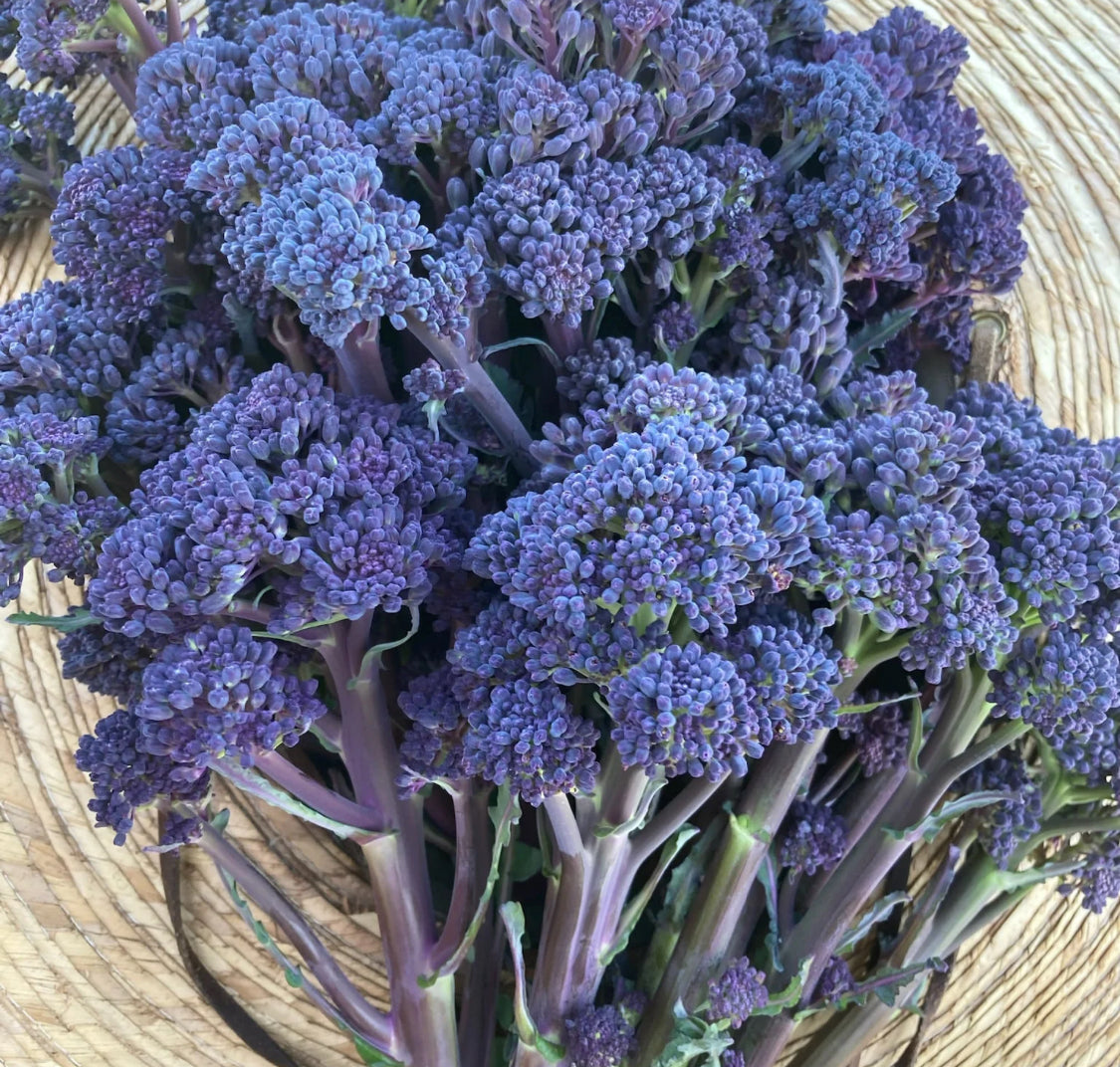 Purple Reign Sprouting Broccoli