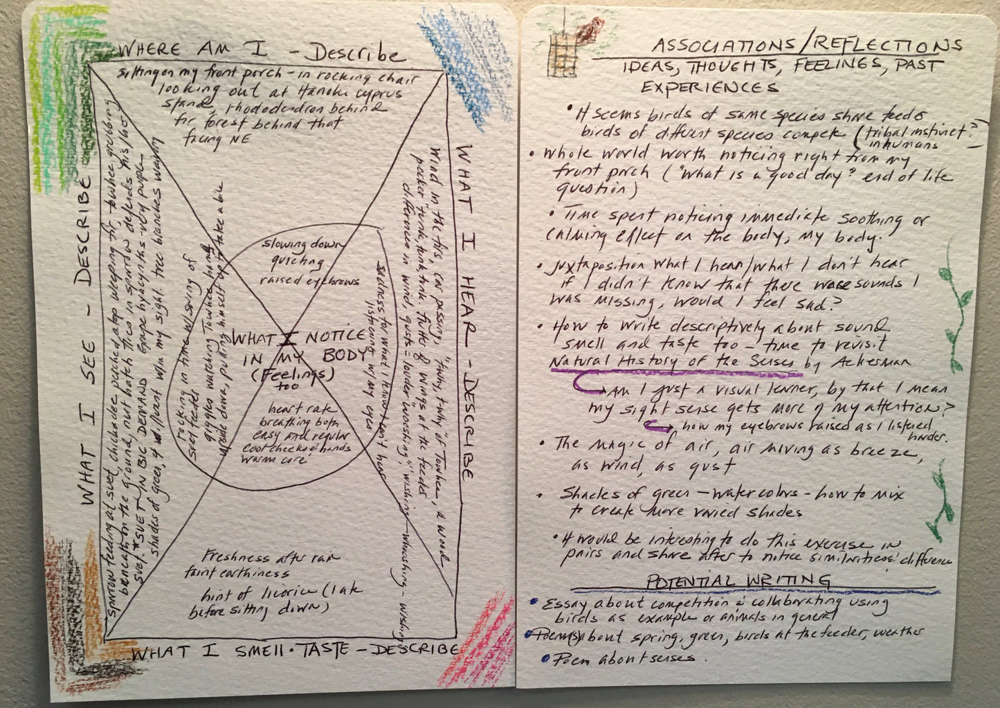 Cultivating Wonder: A Writing Workshop with Catherine Johnson