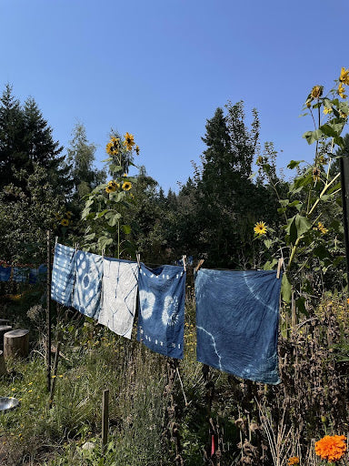 Indigo Vat Dyeing with Monica Wilson
