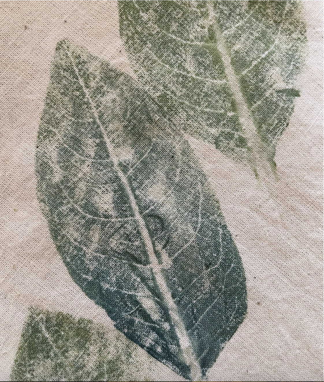 Fresh Indigo Dye Class with Monica Wilson