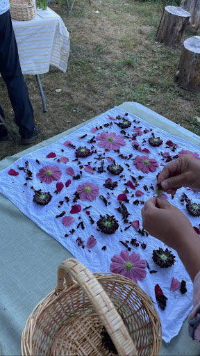 Bundle Dye and Flower Pounding with Monica Wilson