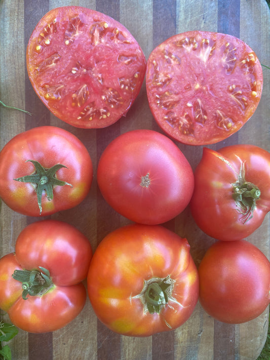 Berner Rose Heirloom Tomato