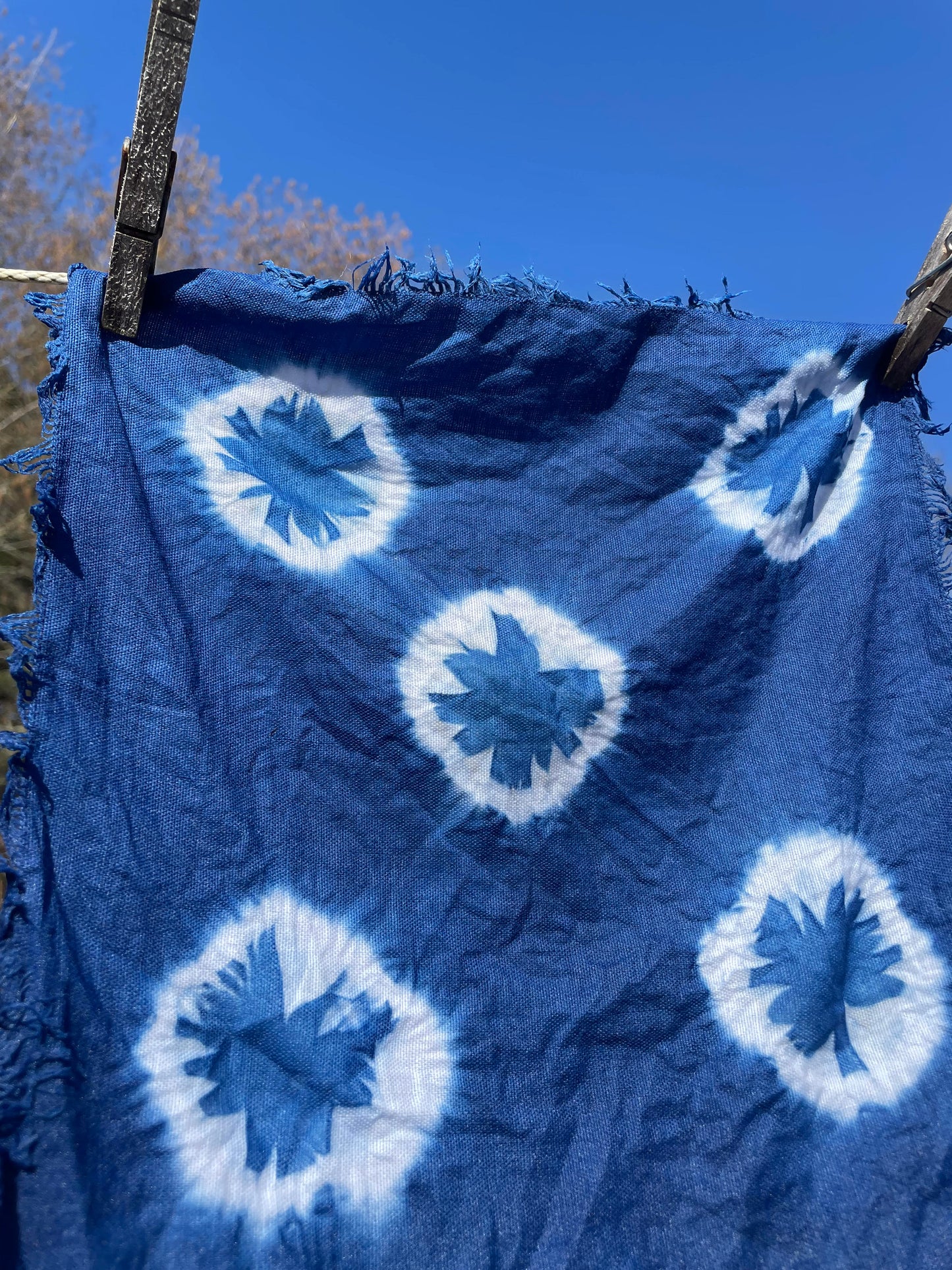 Japanese Indigo