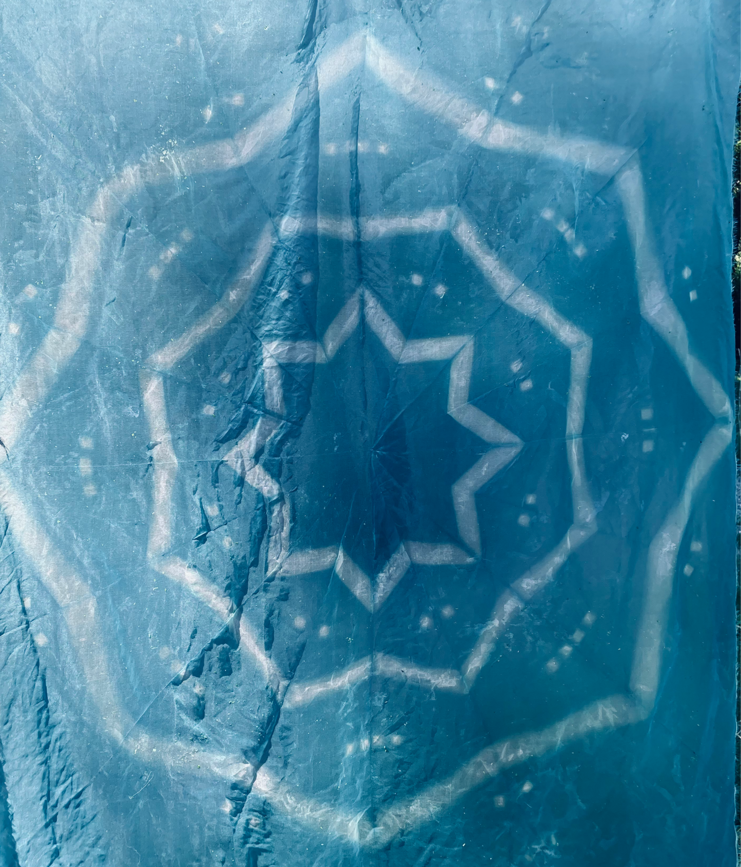 Fresh Indigo Dye Class with Monica Wilson