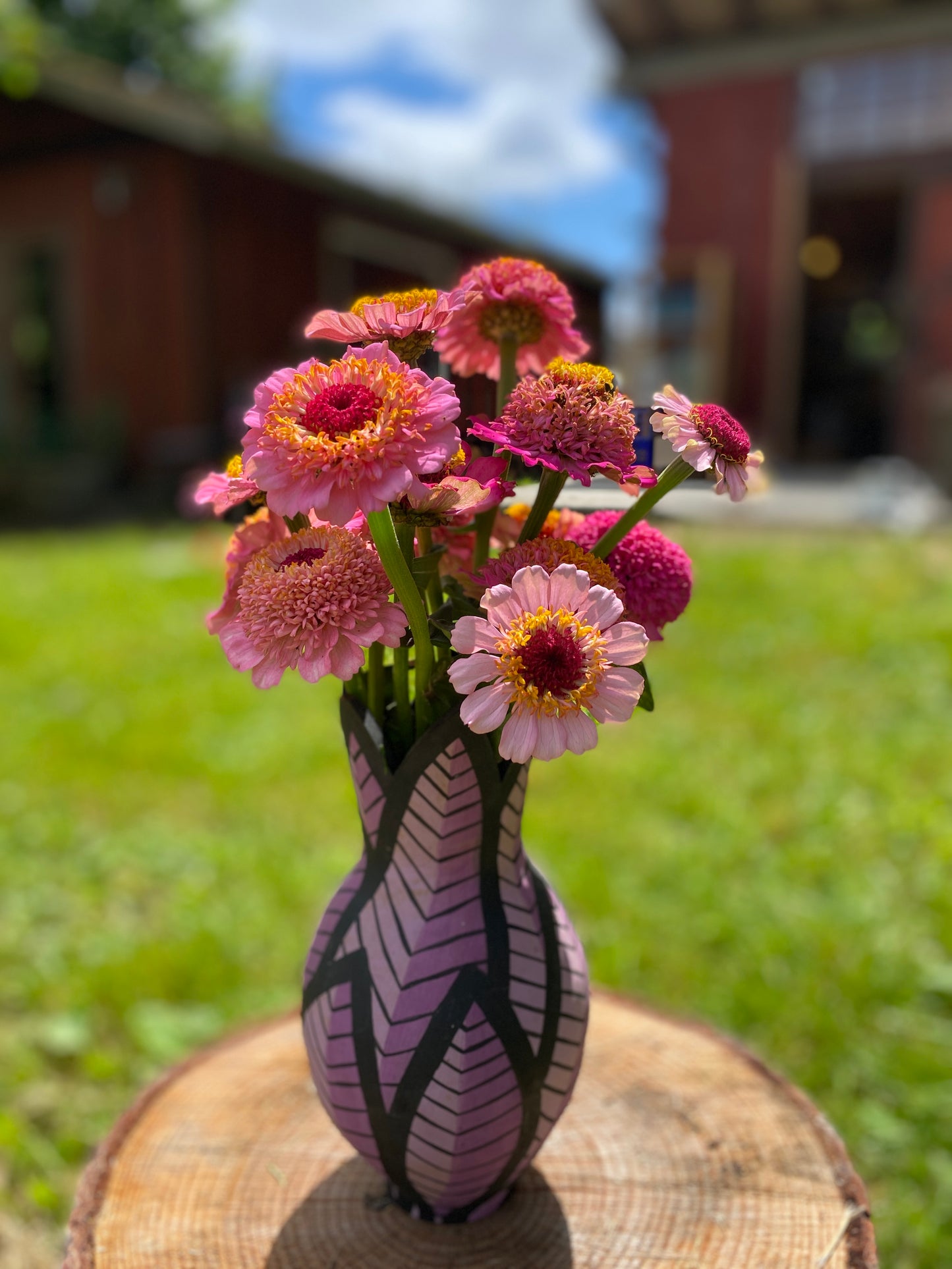 Rosy Pink Blush Zinnia Mix