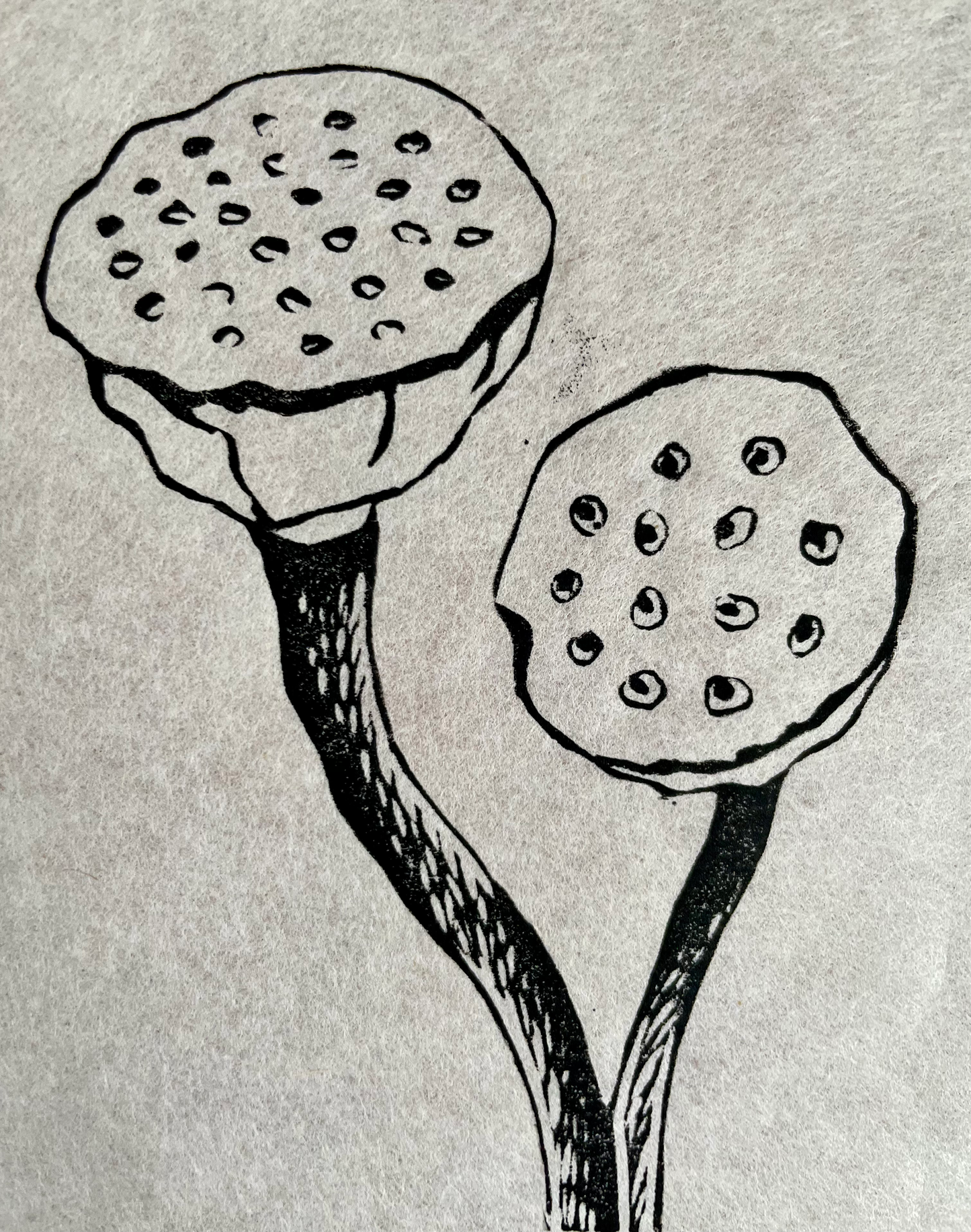 Botanical Linocuts with Yoshi Nakagawa