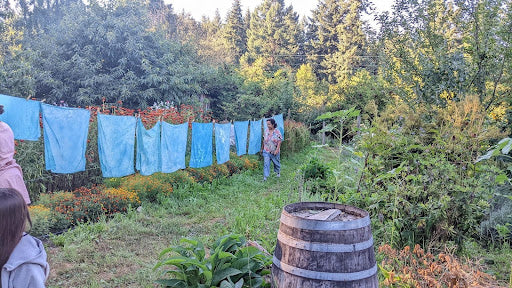 Fresh Indigo Dye Class with Monica Wilson