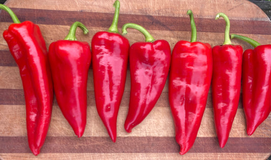 Northwest Red Roasting Pepper Mix