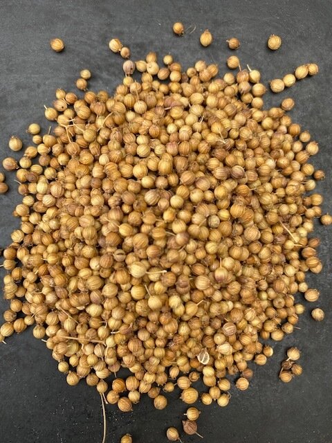 Foundations of Seed Saving with Jen Williams