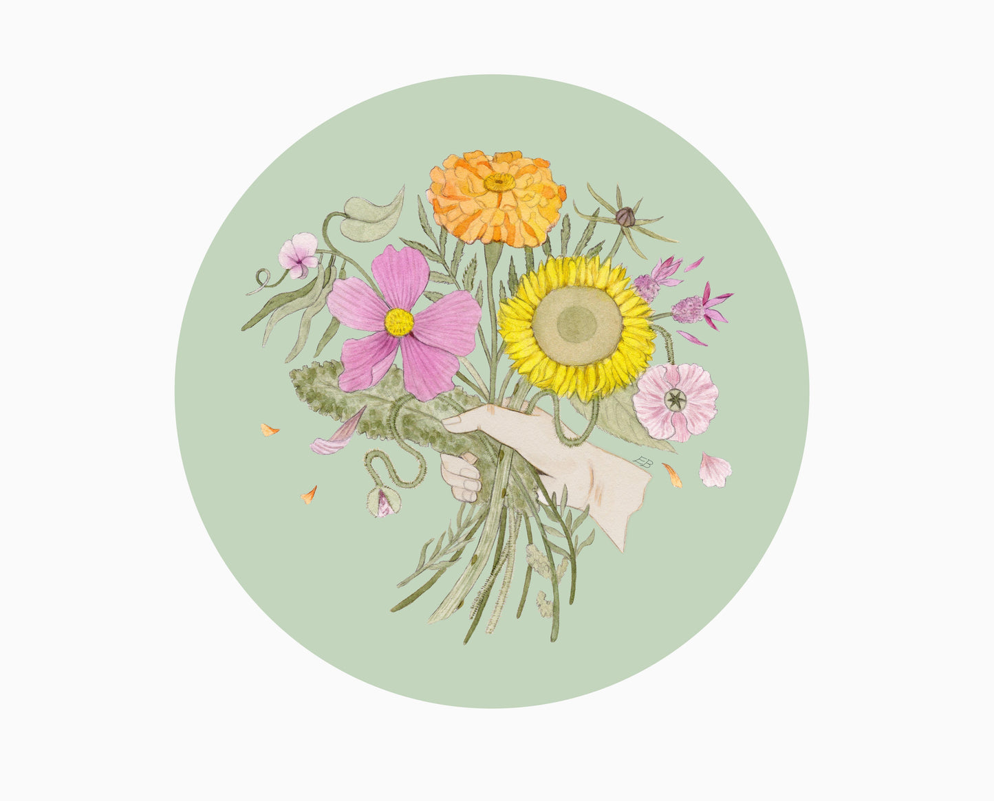 Choose your own Seed Gift Collection
