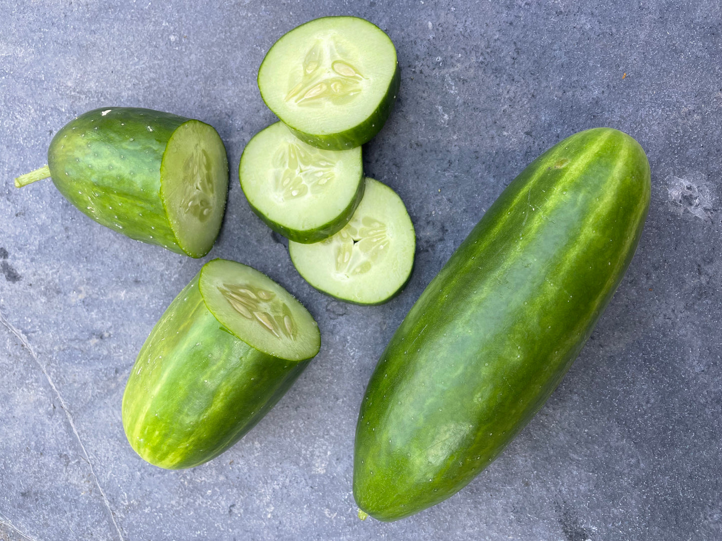 Mid East Peace Cucumber