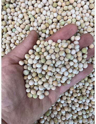 Pass Around the Seeds