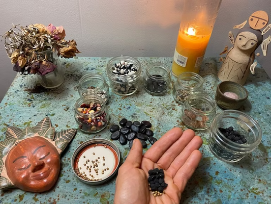 Seeds in Prayer