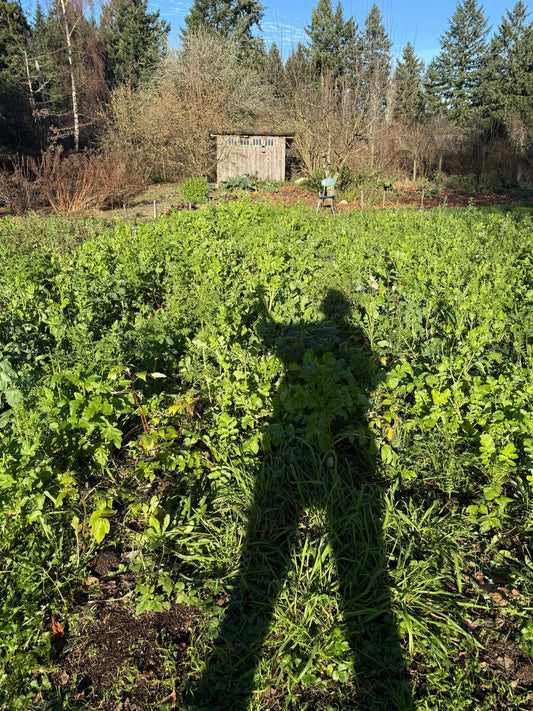 Greetings from the days of long shadows...