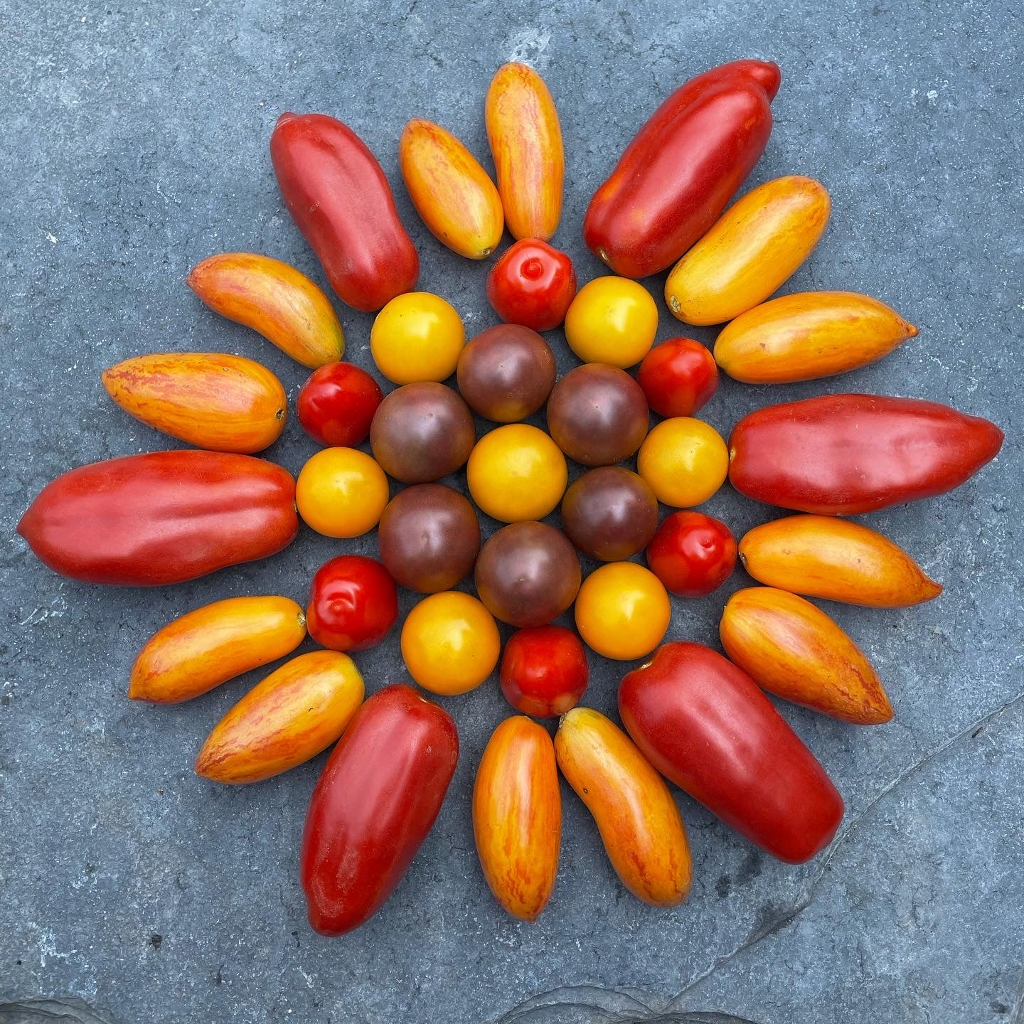 Tomatoes & Tomatillo