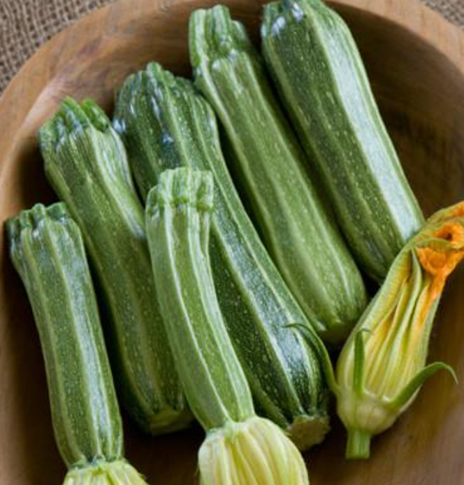 Winter and Summer Squash