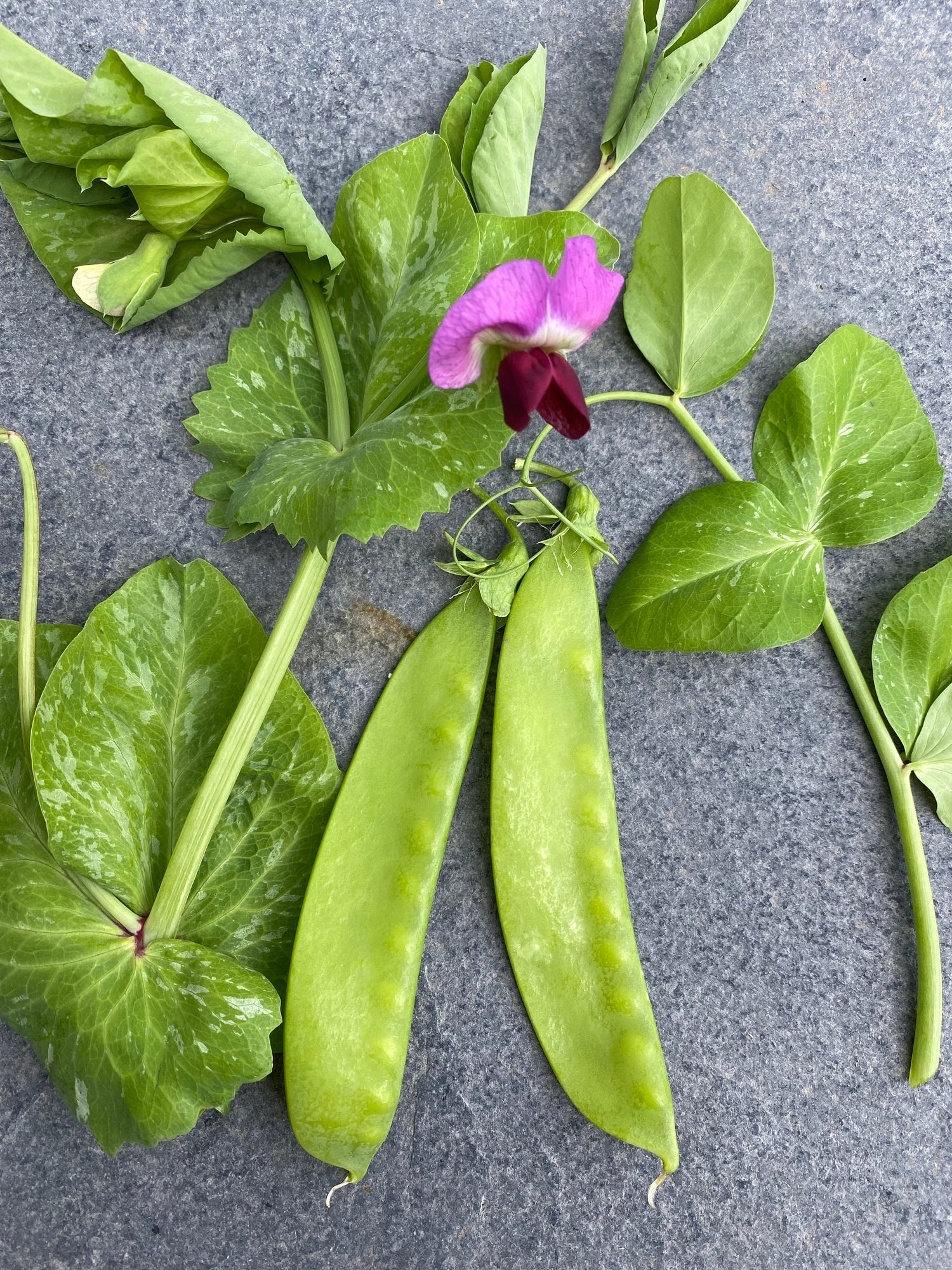 All vegetables