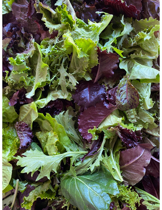 Fall Greens Mix