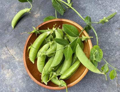 Sugar Snap Pea