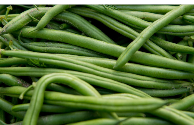 Blue Lake Pole Bean