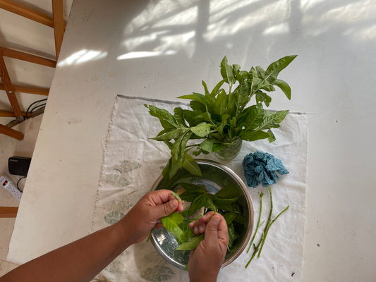 Fresh Indigo Dye Class with Monica Wilson