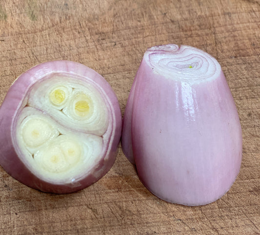 Zebrune Shallot