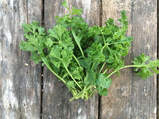 Cress
