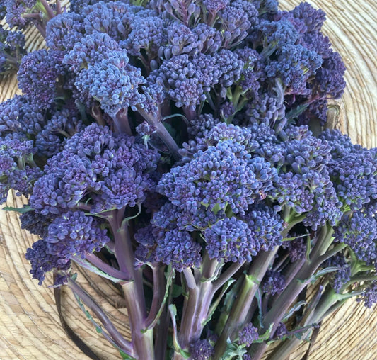 Purple Reign Sprouting Broccoli