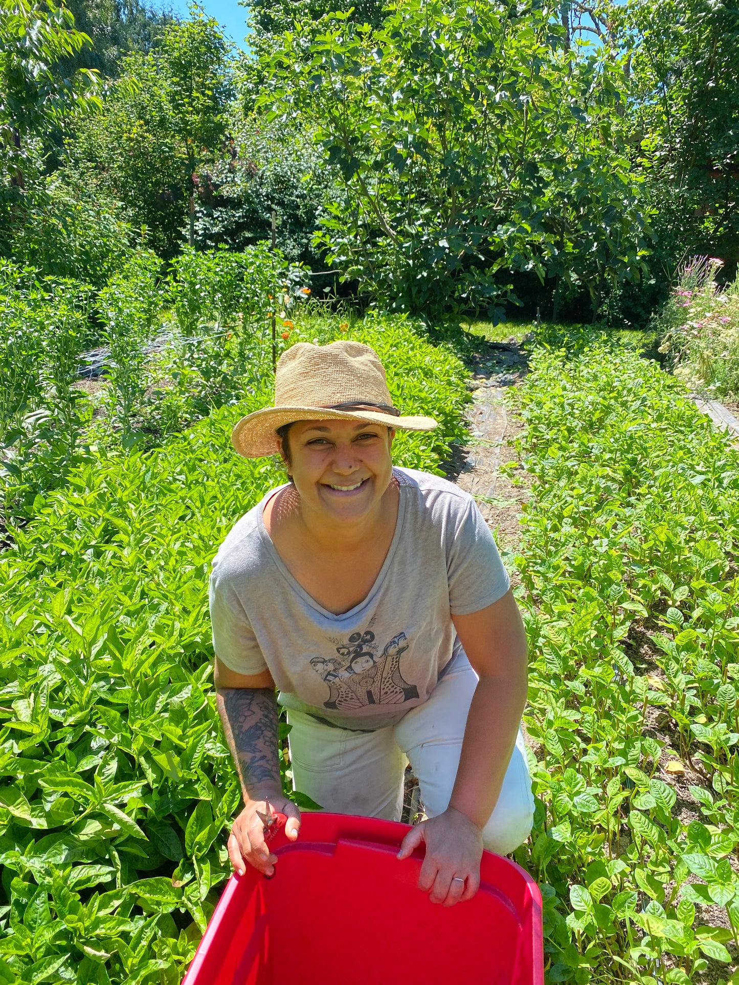 Indigo Vat Dyeing with Monica Wilson