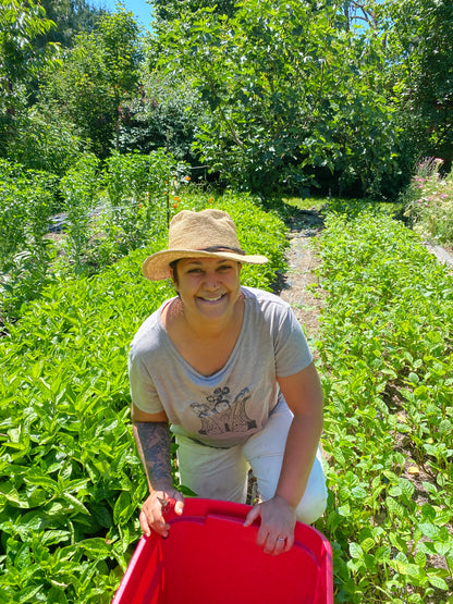 Indigo Vat Dyeing with Monica Wilson