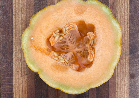 Amish Melon