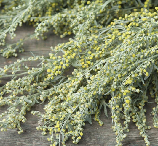 Wormwood