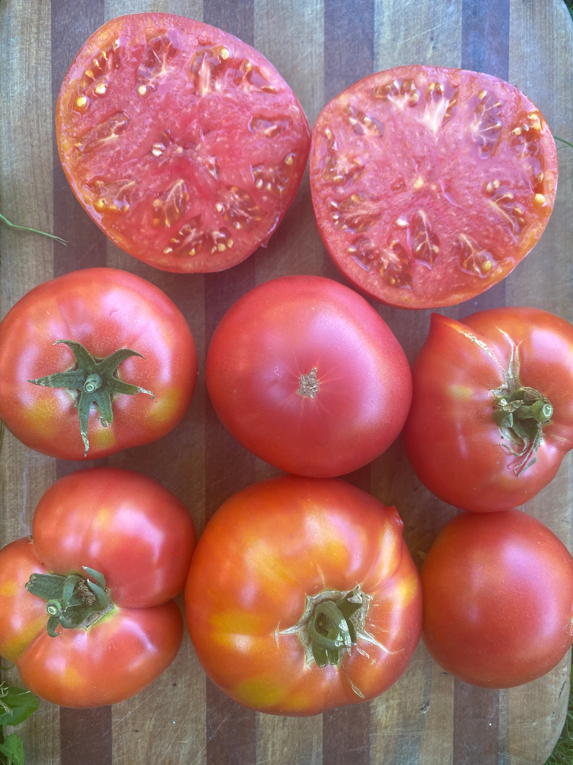 rose tomato seeds Berner Rose Heirloom Tomato – Wild Dreams Farm and Seed