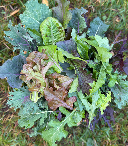 Big Ol' Bowl of Greens