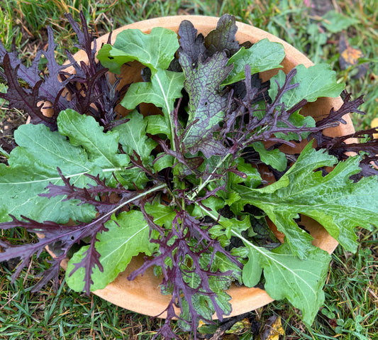 Fall Greens Mix