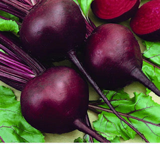 Detroit Dark Red Beet