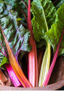 Rainbow Chard