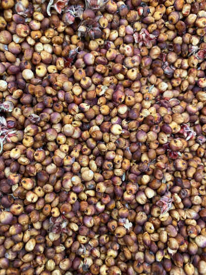 Coral Sorghum