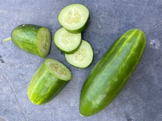 Mid East Peace Cucumber